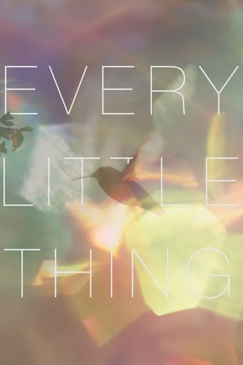 Every Little Thing 2024 (هر چیز کوچک)