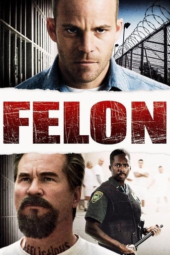 Felon 2008 (تبهکار )