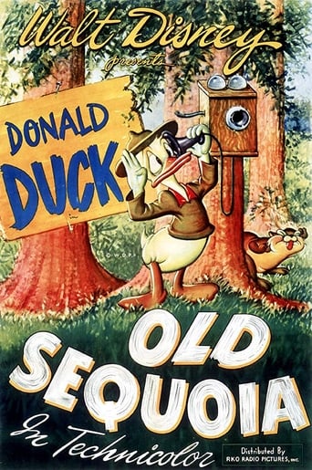 Old Sequoia 1945