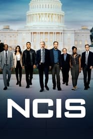 NCIS 2003 (واحد تجسس)