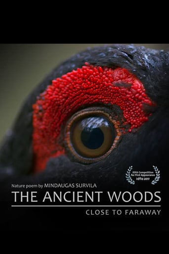 The Ancient Woods 2017