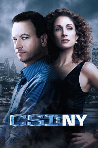 CSI: NY 2004 (سی اس آی: نیویورک)