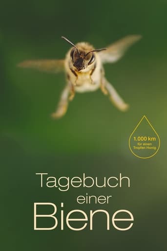 Diary of a Bee 2021 (دفتر خاطرات یک زنبور)