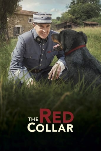The Red Collar 2018 (قلاده قرمز)