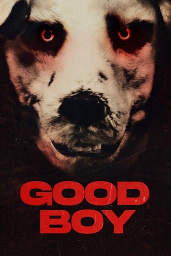Good Boy 2022 (پسر خوب)