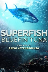 Superfish: Bluefin Tuna 2012 (سوپر ماهی بلوفین تن )