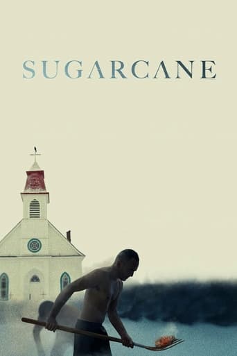 Sugarcane 2024 (نیشکر)