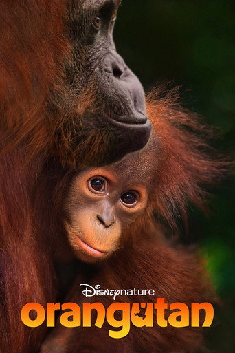 Orangutan 2026