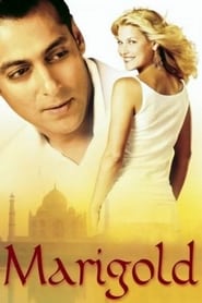 Marigold 2007 (گل همیشه‌بهار)