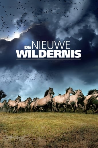 The New Wilderness 2013
