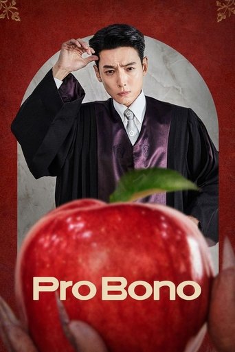 Pro Bono 2025 (وکیل مردم)