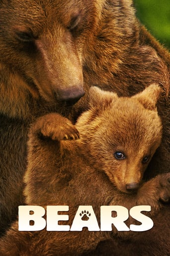 Bears 2014 (خرس‌ها)