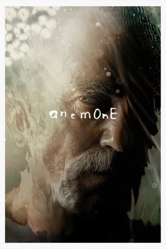 Anemone 2025 (شقایق)