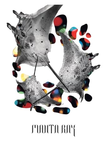 Manta Ray 2018