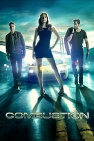 Combustion 2013 (احتراق)