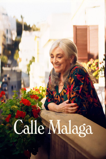 Calle Málaga 2025