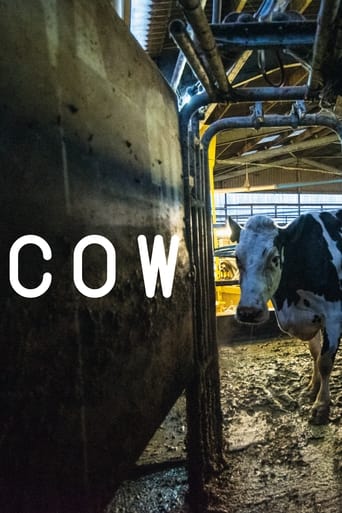 Cow 2021