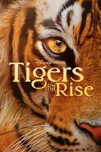 دانلود فیلم Tigers on the Rise 2024 (ببرهای در حال ظهور)