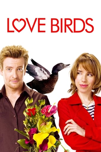 Love Birds 2011 (مرغ عشق ها )