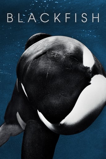 Blackfish 2013 (نهنگ قاتل)