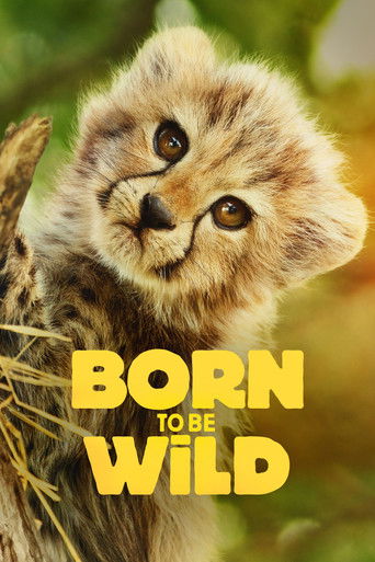 Born to Be Wild 2025