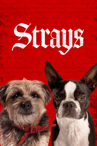 دانلود فیلم Strays 2023 (گمراه ها)