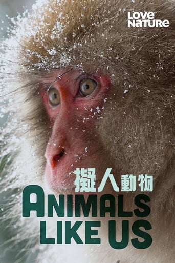 Animals Like Us 2024 (حیوانات شبیه ما)