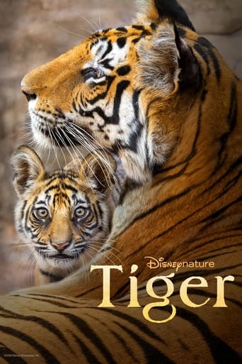 دانلود فیلم Tiger 2024 (ببر)