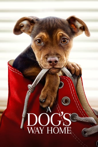 A Dog's Way Home 2019 (مسیر بازگشت یک سگ به خانه)