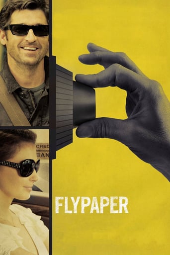 Flypaper 2011 (سرقت موازی)