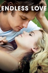 دانلود فیلم Endless Love 2014 (عشق بی پایان)