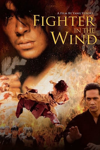 Fighter in the Wind 2004 (مبارزی در باد)