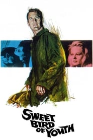 Sweet Bird of Youth 1962 (پرنده شیرین جوانی)