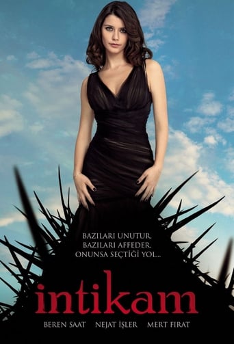İntikam 2013