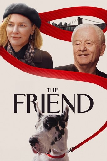 The Friend 2024 (دوست)